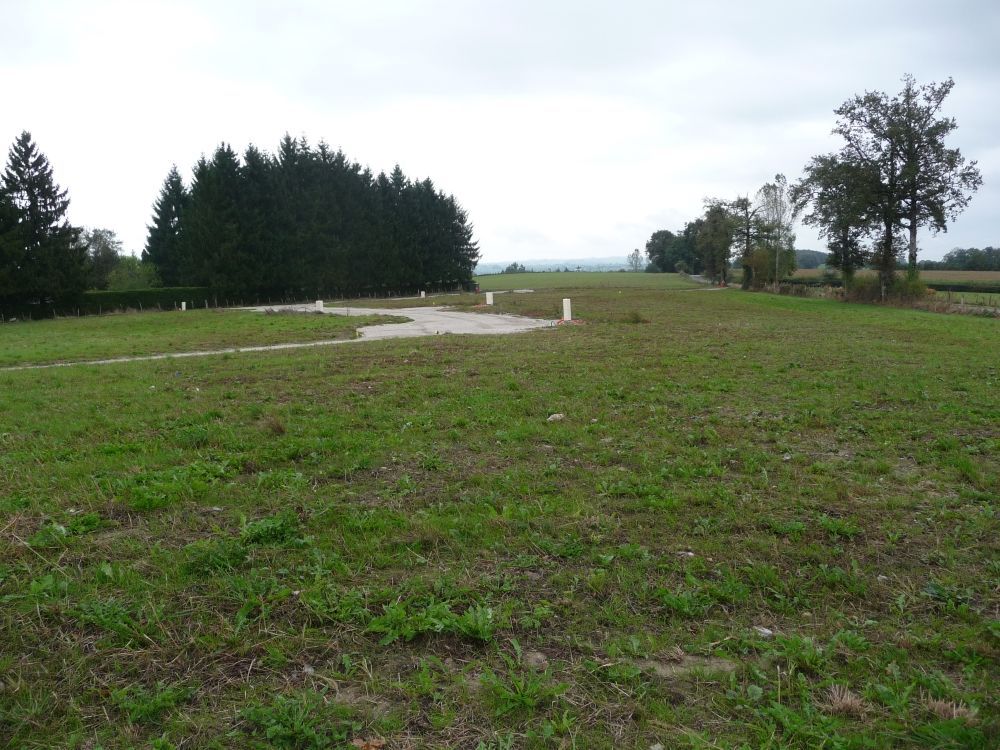 image 1747177225.jpeg