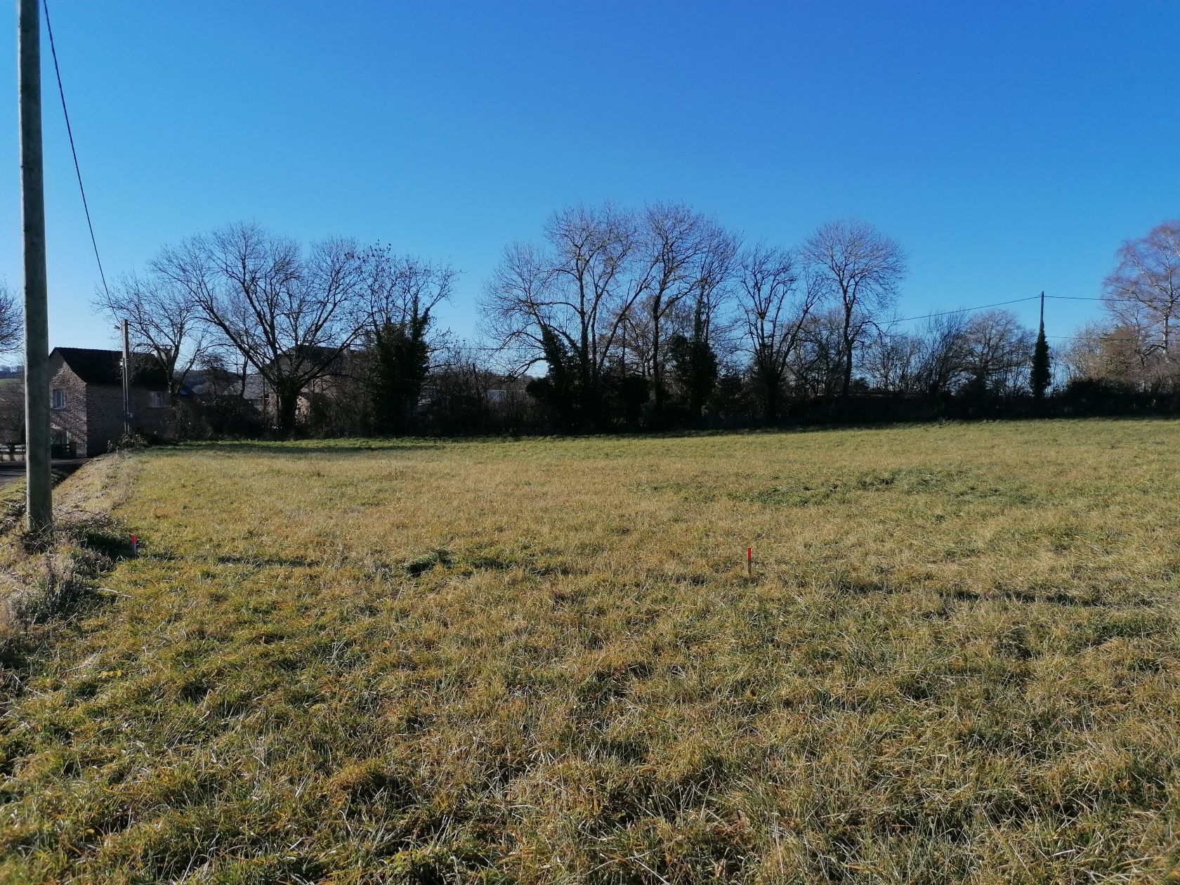 image 1747177262.jpeg