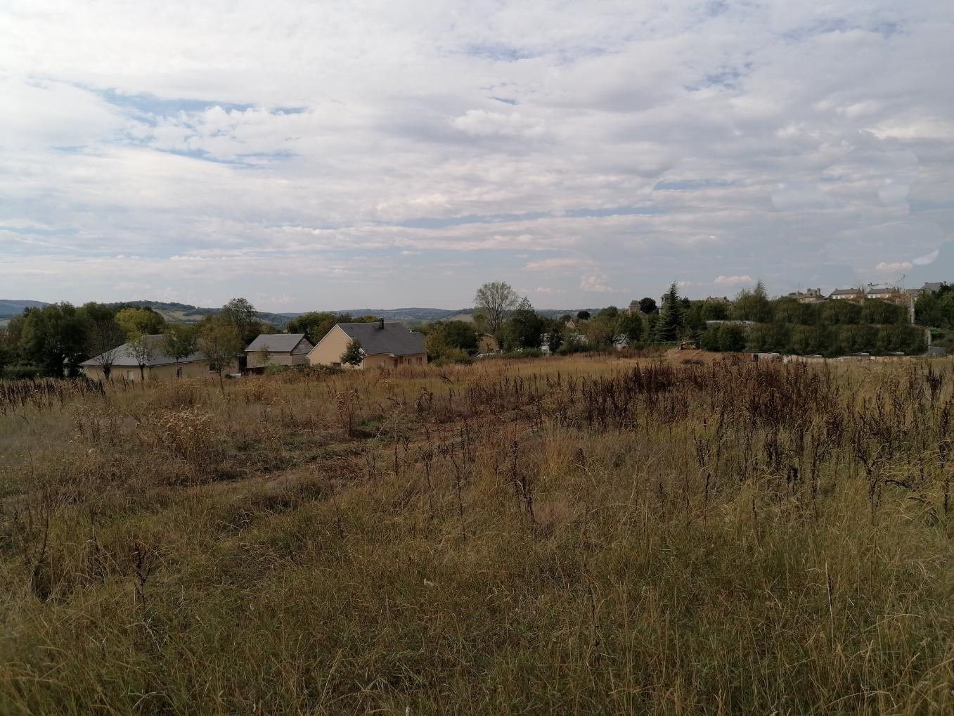 image 1747179166.jpeg