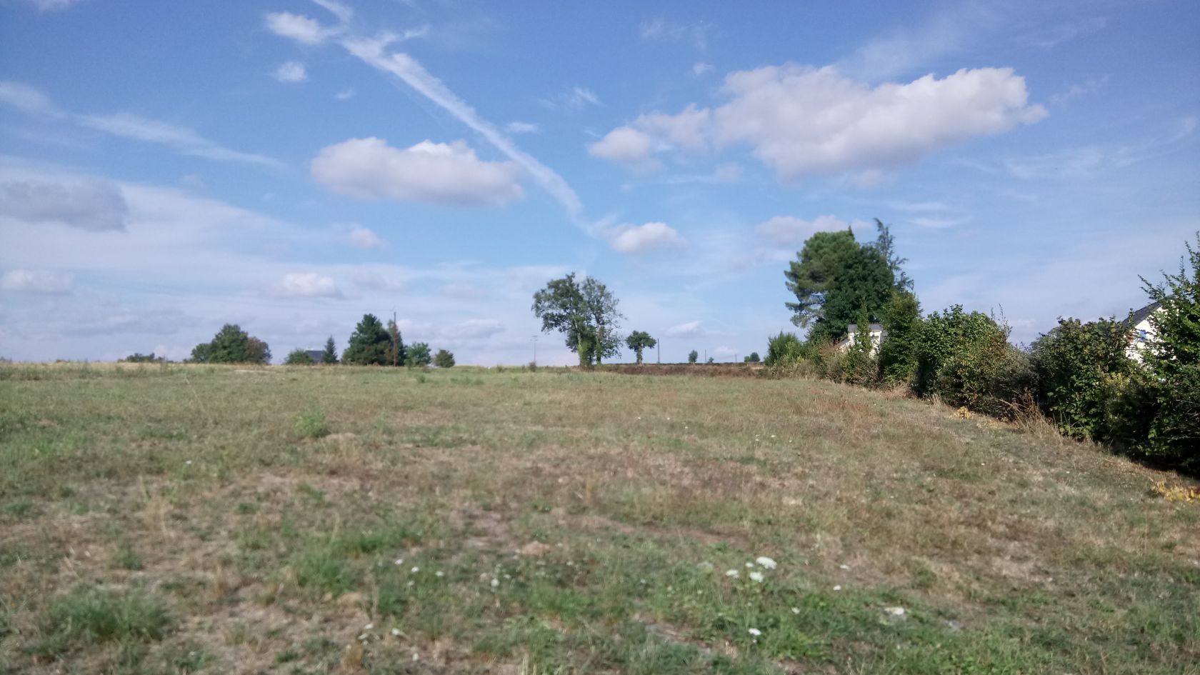 image 1747179513.jpeg