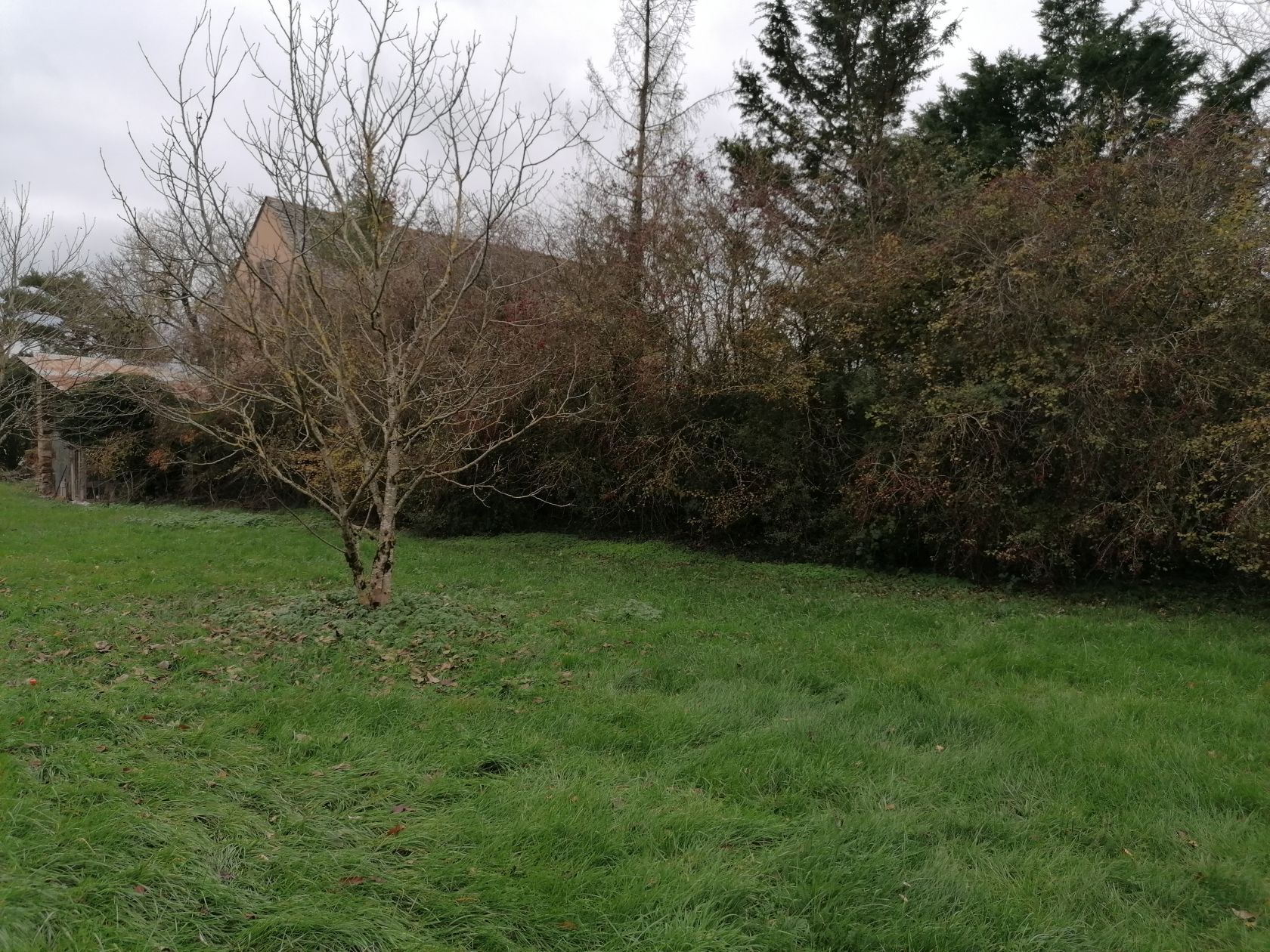 image 1752620414.jpeg