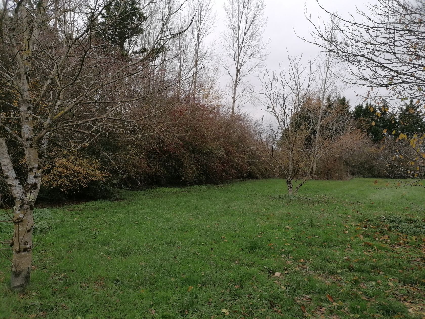 image 1752620417.jpeg