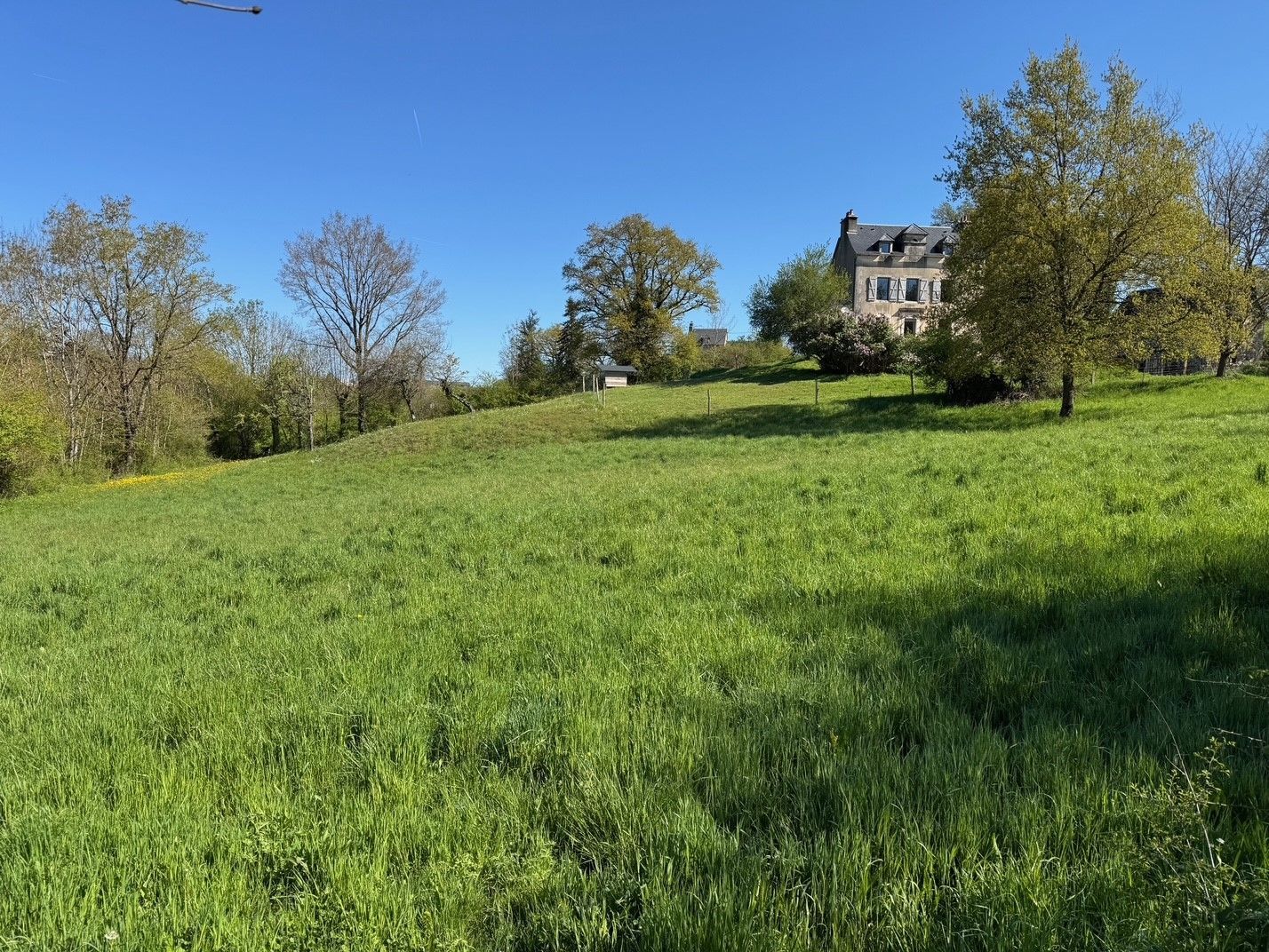 image 1752620671.jpeg