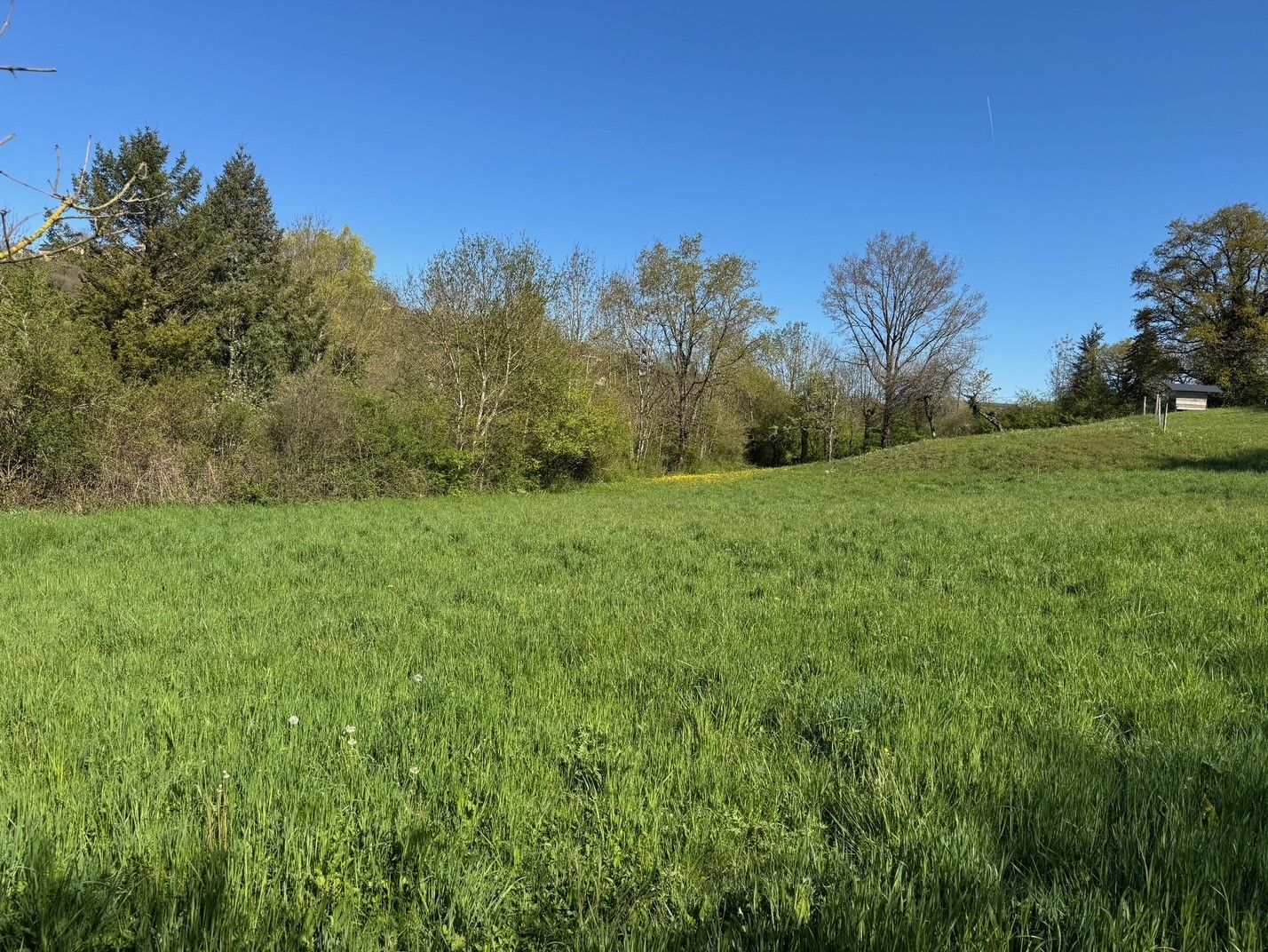 image 1765323271.jpeg