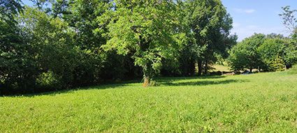 image 1765323432.jpeg