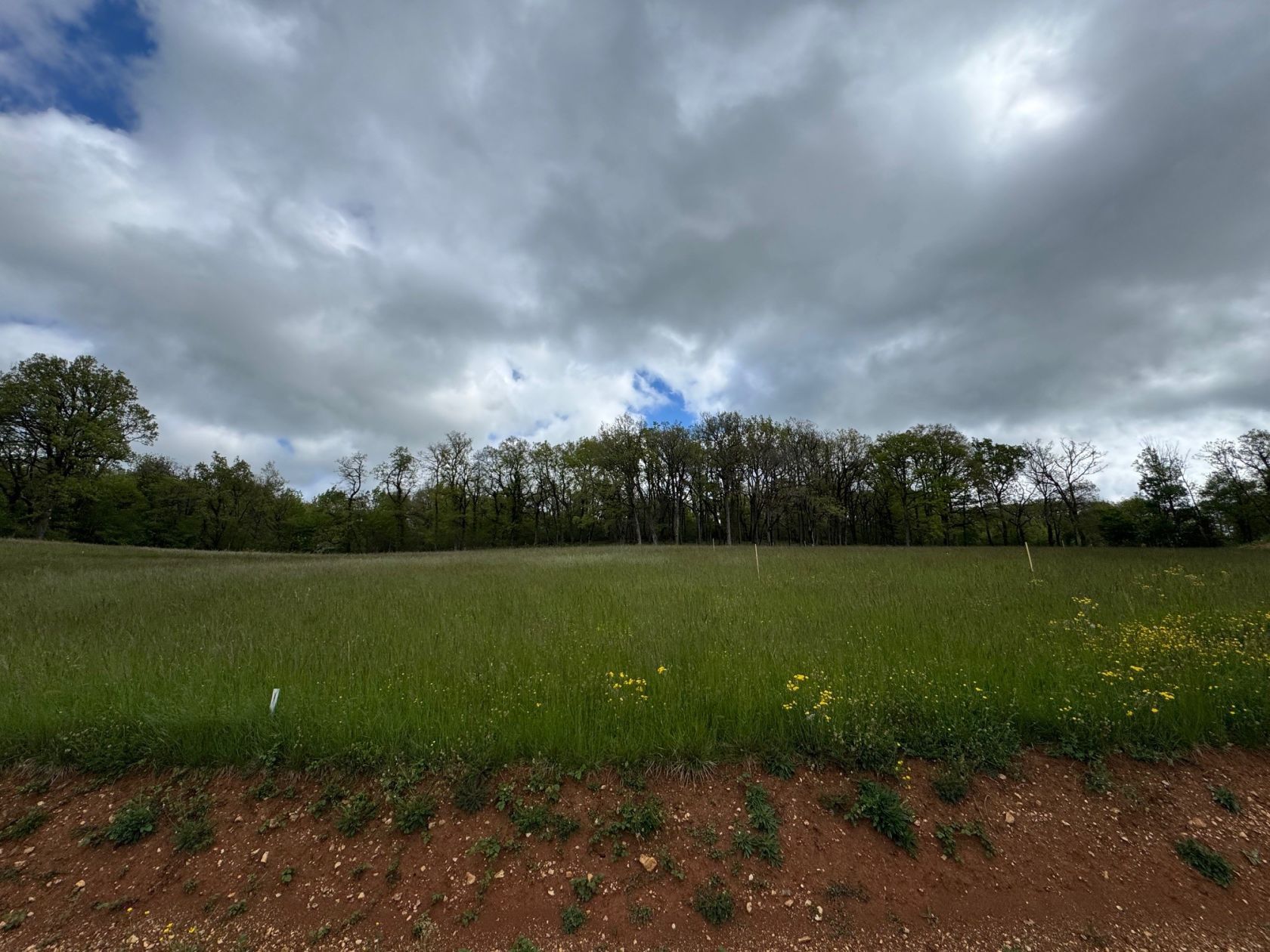 image 1765324477.jpeg