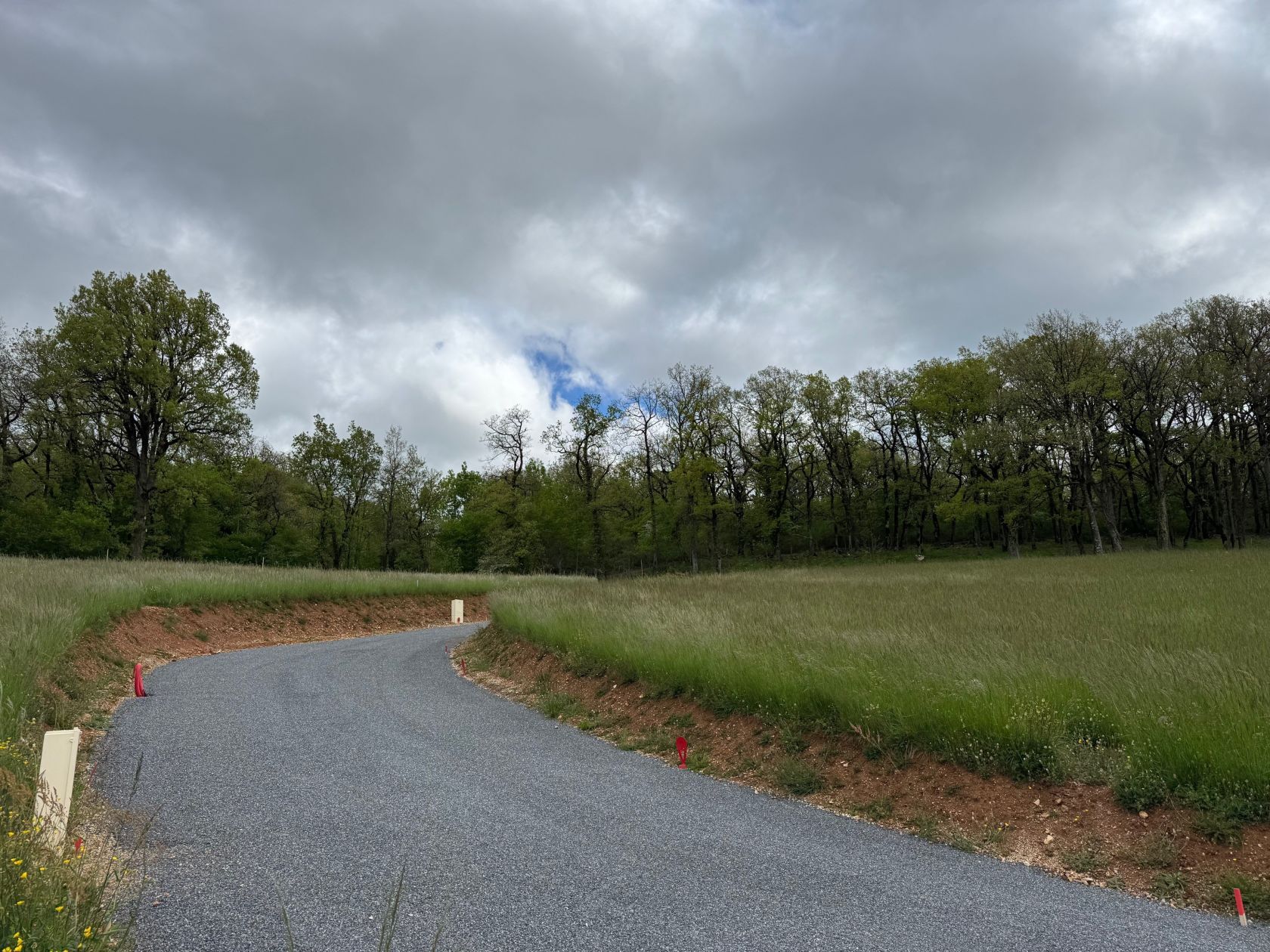 image 1765324478.jpeg