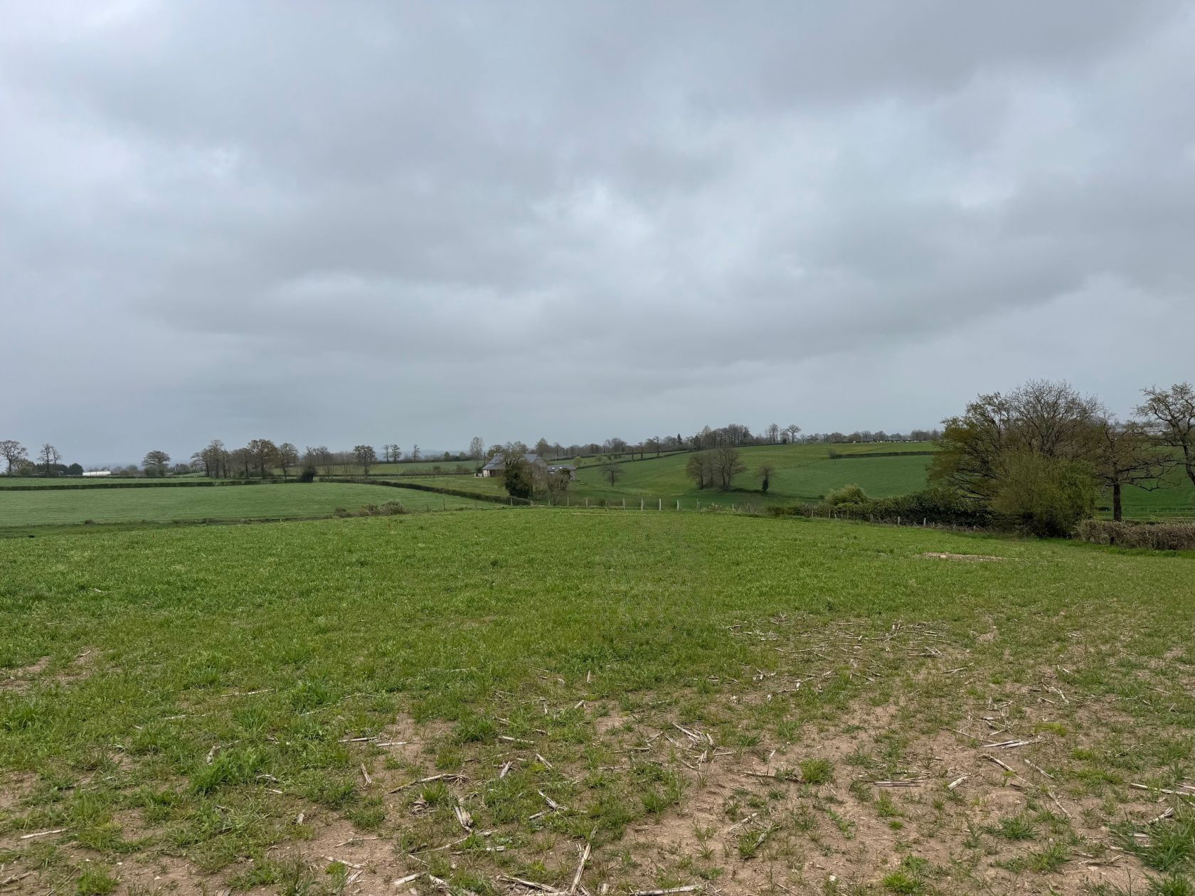 image 1765324507.jpeg