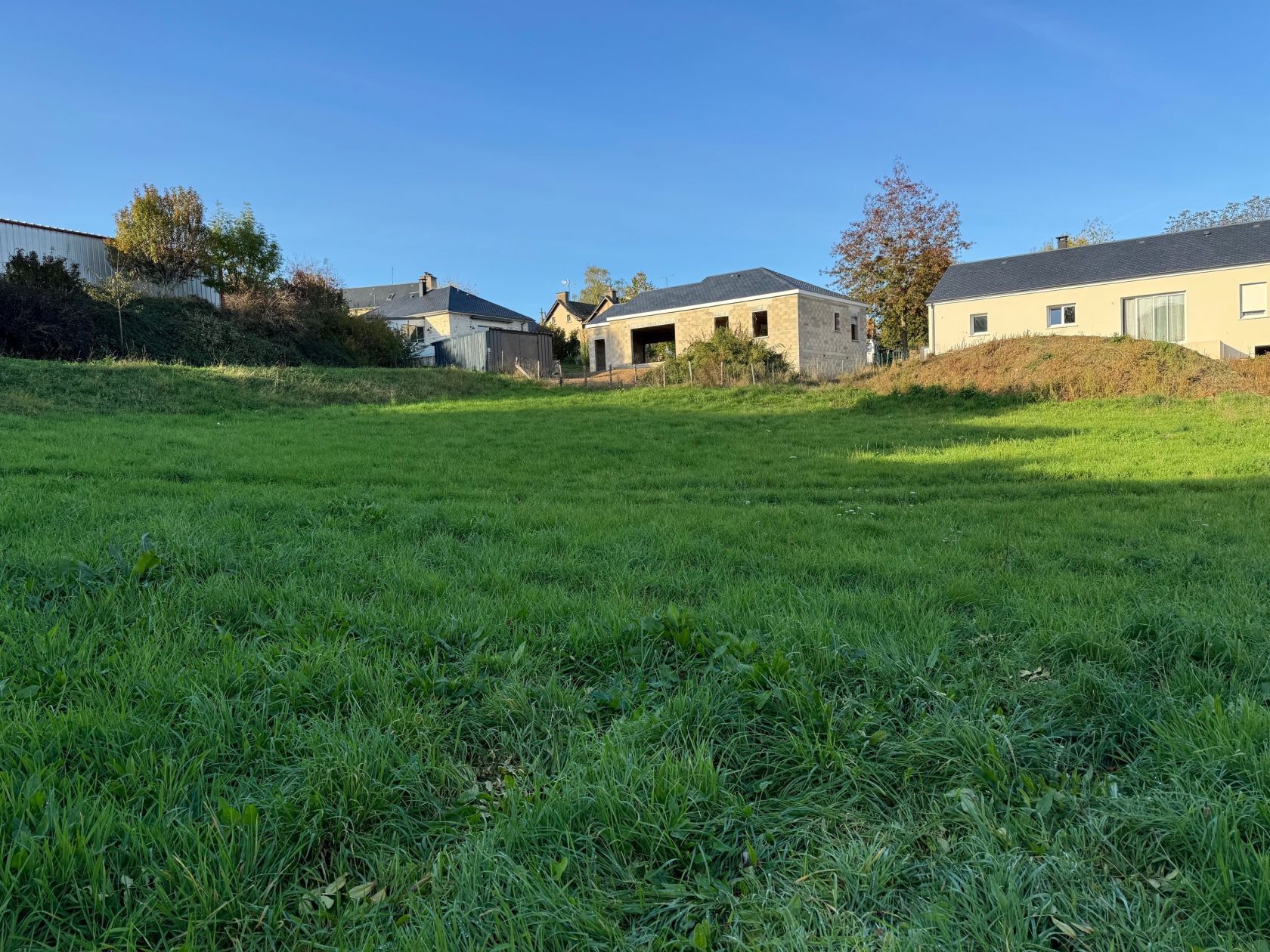 image 1765324539.jpeg