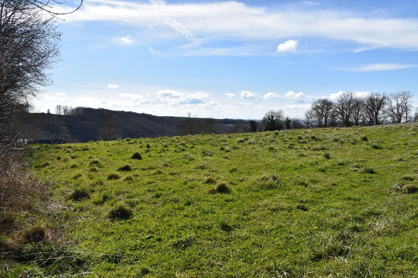 image 1765324559.jpeg