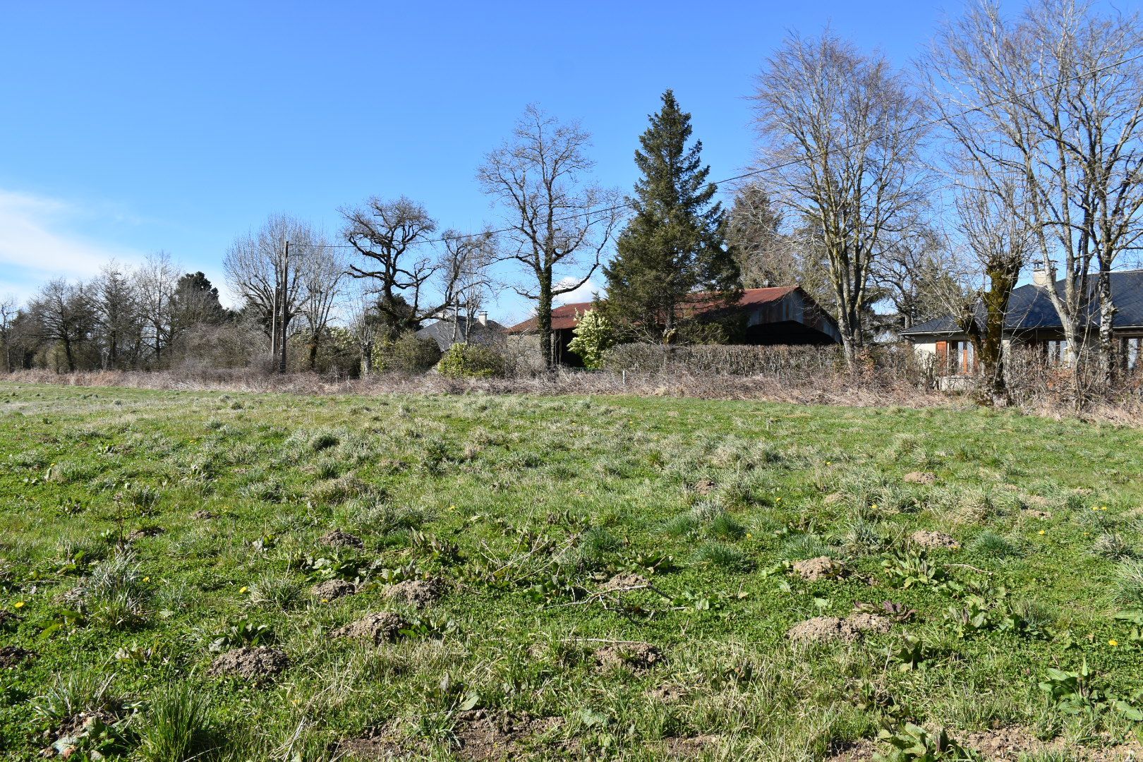 image 1765324562.jpeg