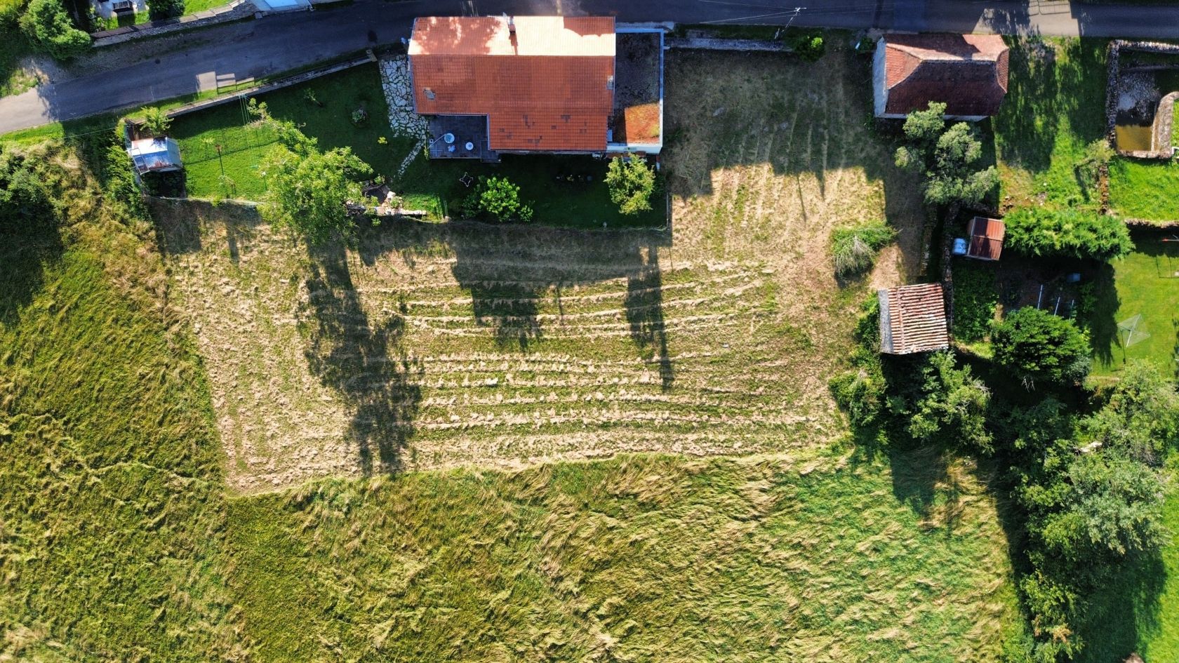 image 1765324575.jpeg