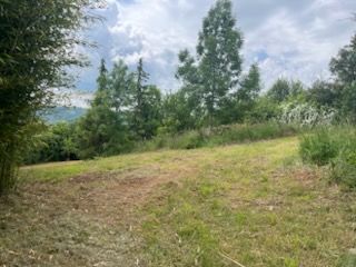 image 1765324754.jpeg