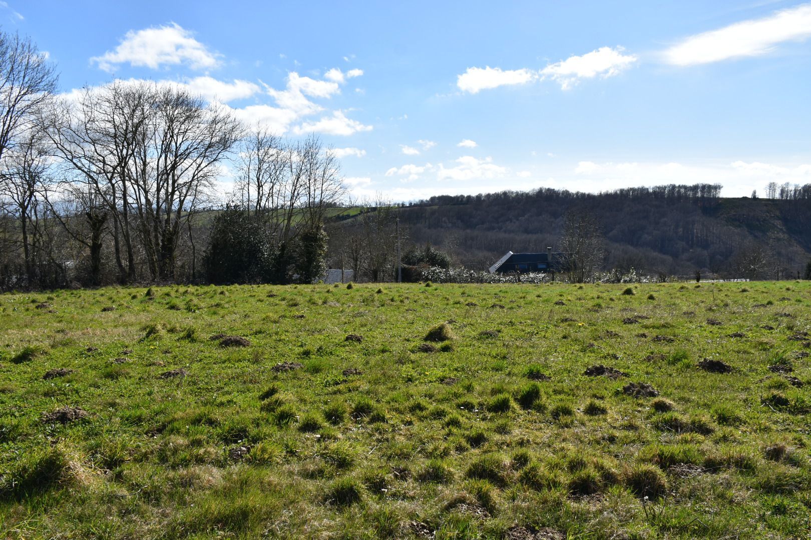 image 1765325075.jpeg