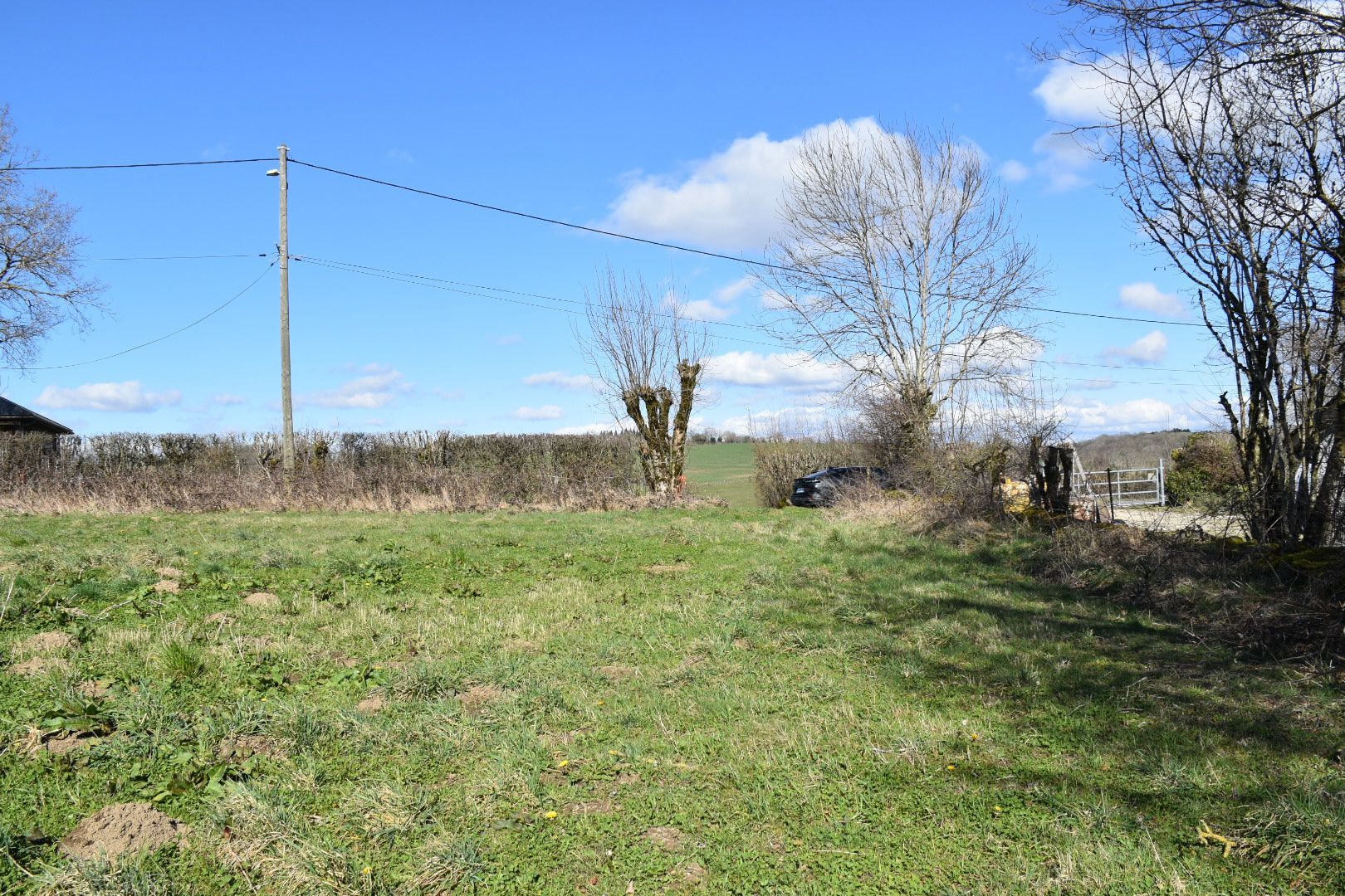 image 1765325082.jpeg