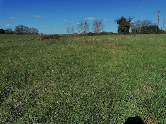 image 1770161829.jpeg