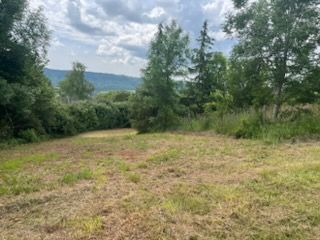 image 1770162543.jpeg