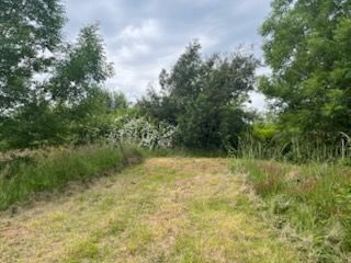 image 1770162545.jpeg