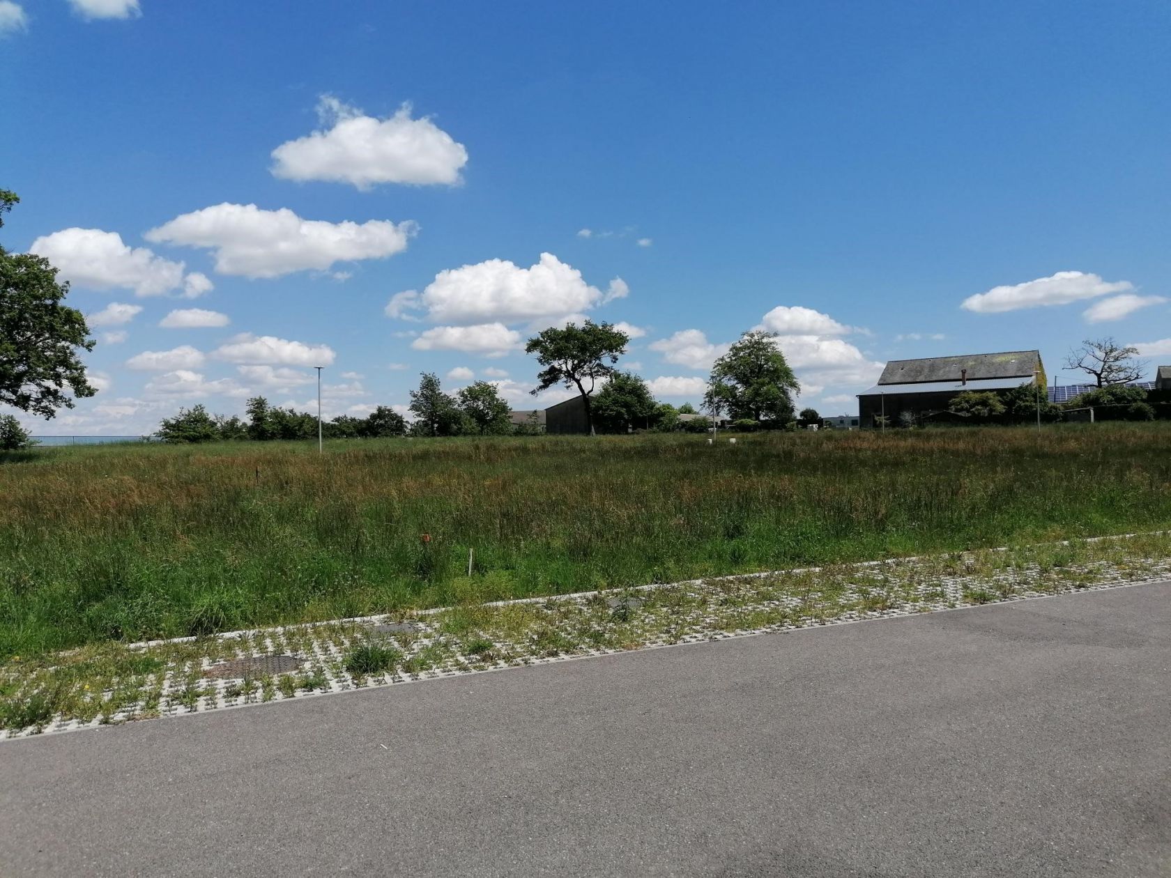 image 1771372995.jpeg