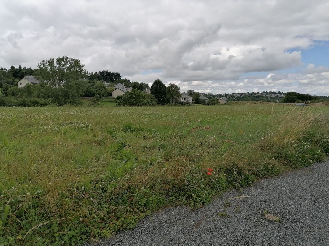 image 1771975896.jpeg