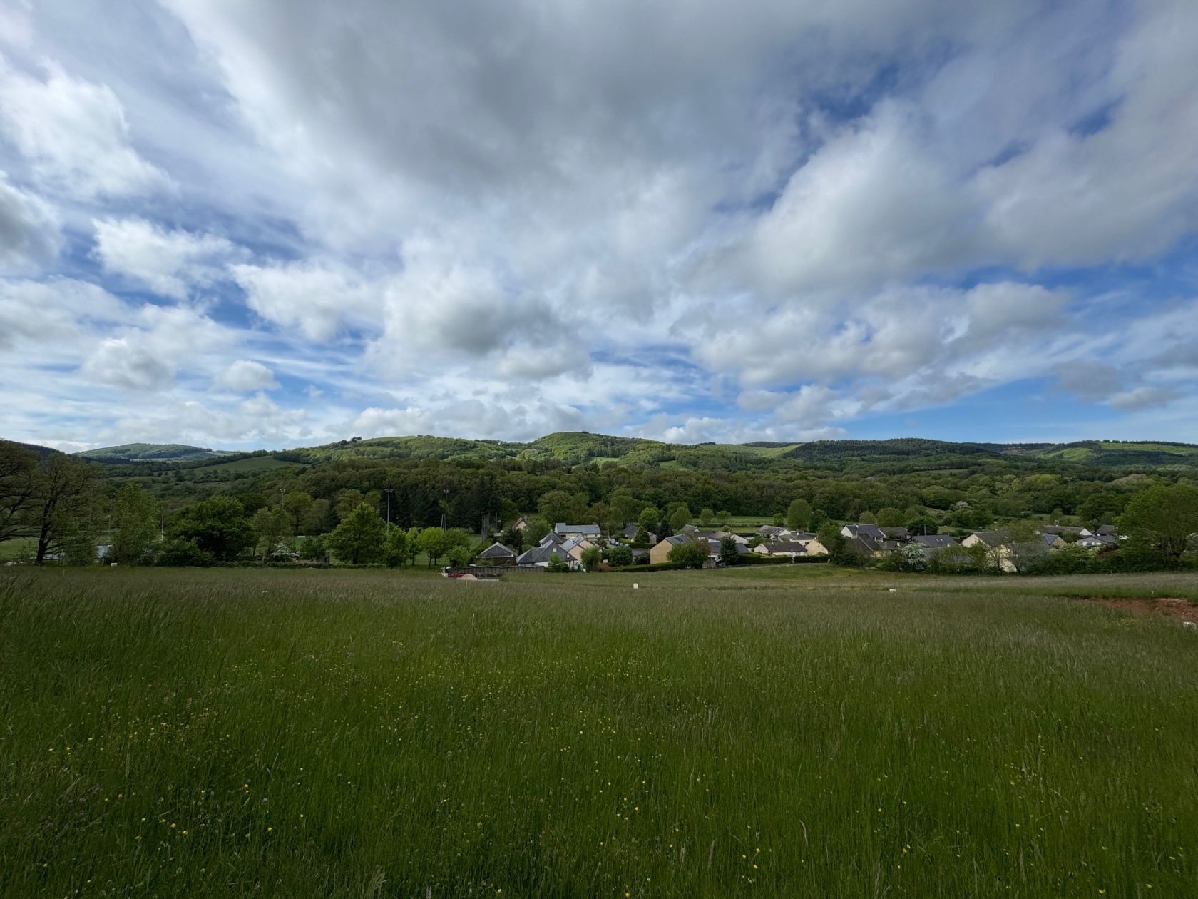 image 1771976021.jpeg