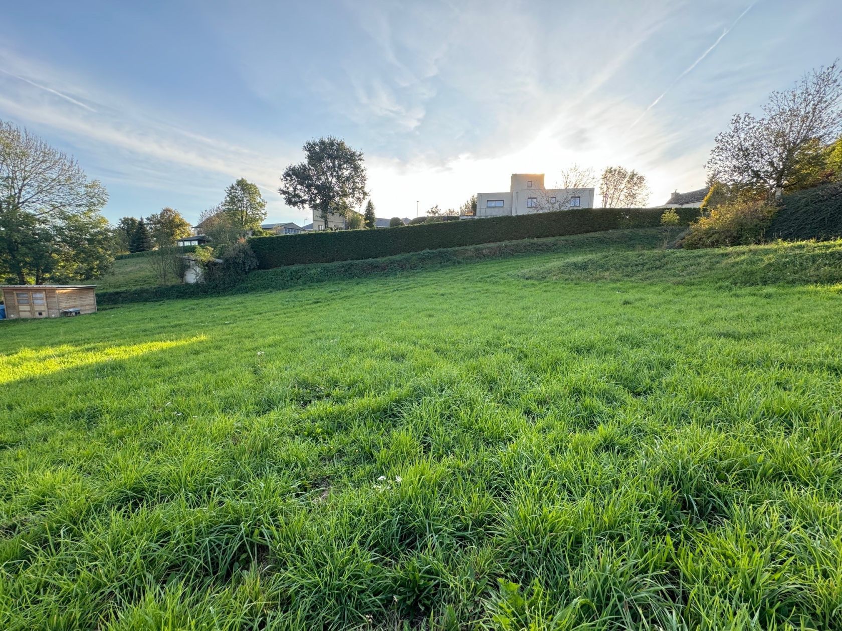 image 1771976090.jpeg