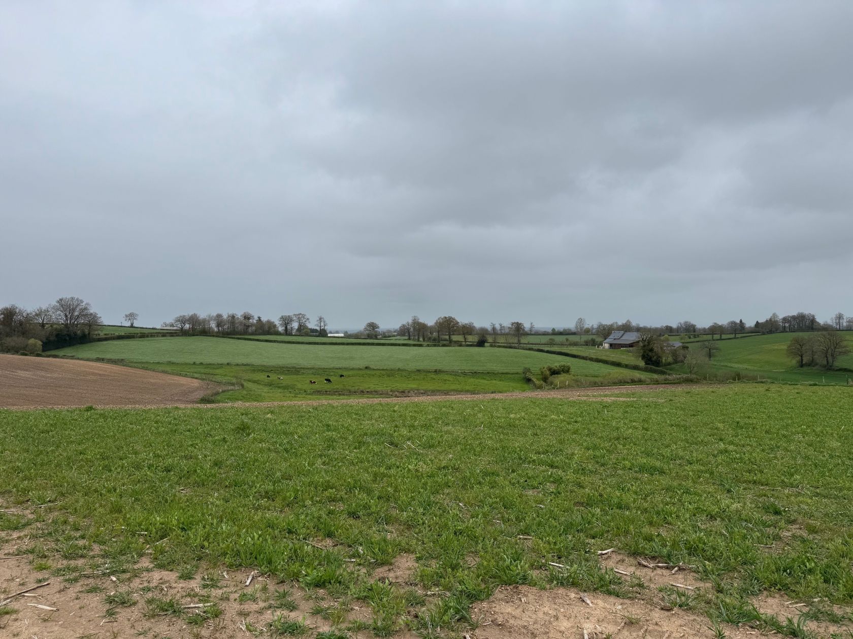 image 1771976840.jpeg