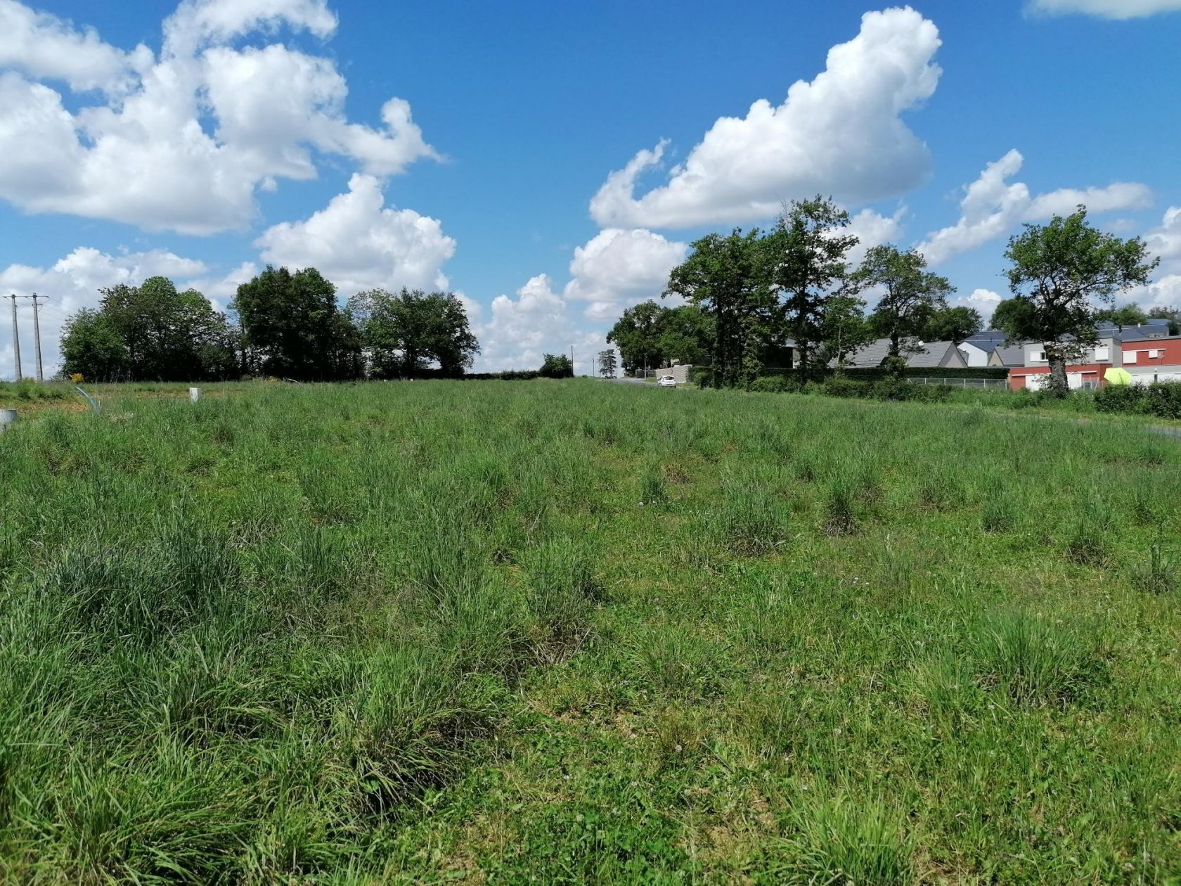 image 1771977112.jpeg