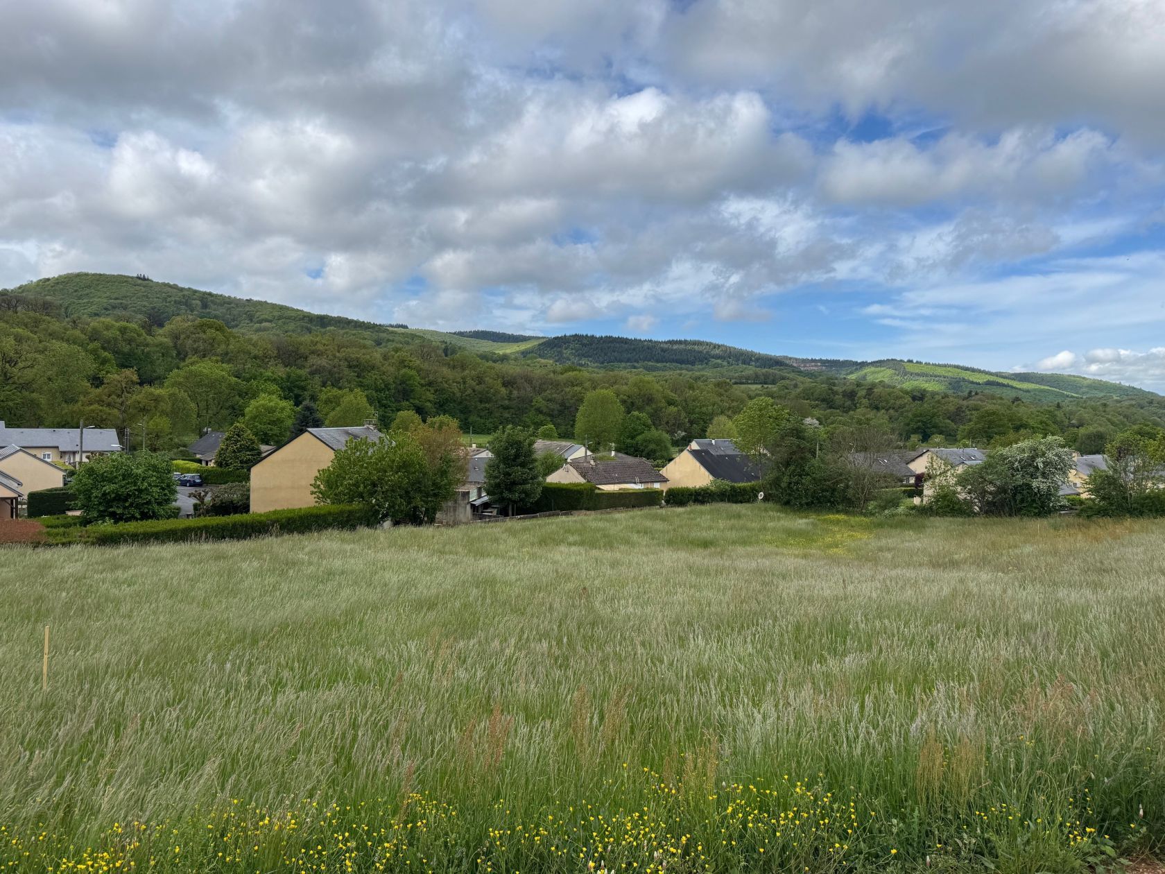 image 1771977281.jpeg