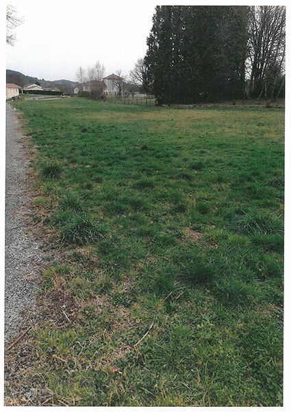 image 1771977663.jpeg