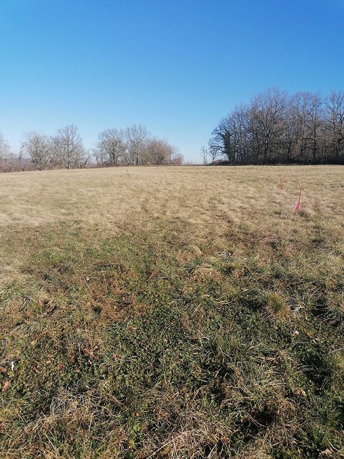 image 1771977668.jpeg