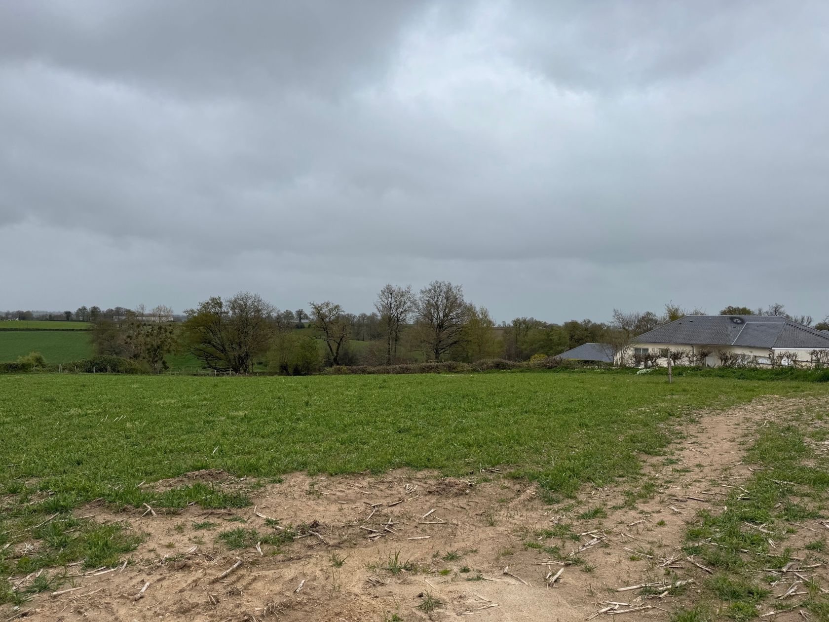 image 1771977758.jpeg