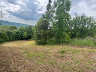 image 1771977835.jpeg