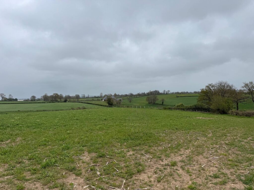 image 1776204090.jpeg