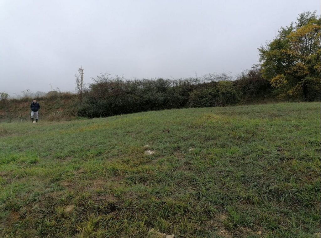 image 1776204121.jpeg