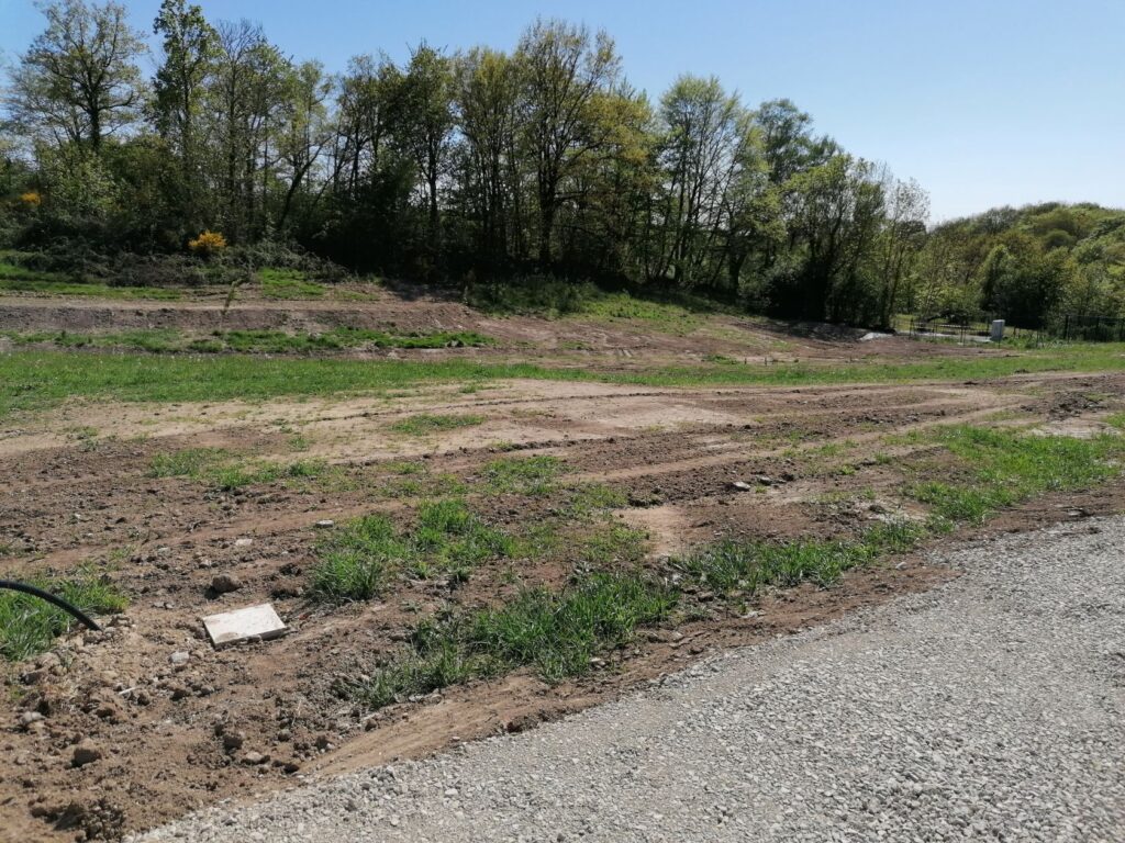 image 1776204129.jpeg