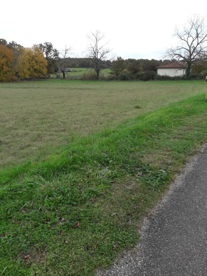 image 1776204135.jpeg