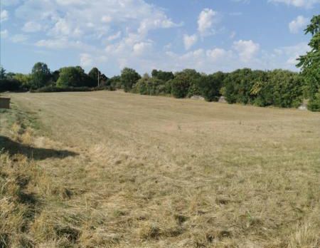 image 1776204136.jpeg