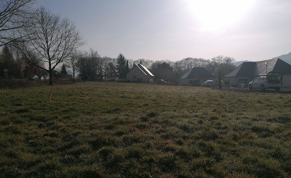 image 1776204150.jpeg