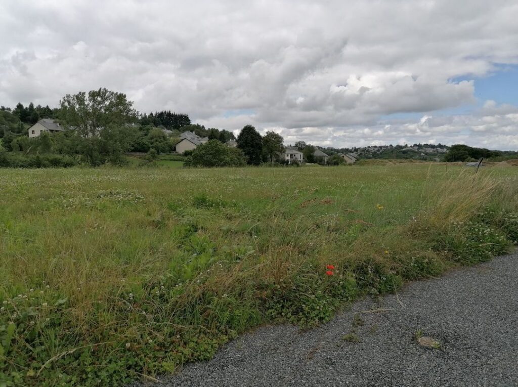 image 1776204169.jpeg