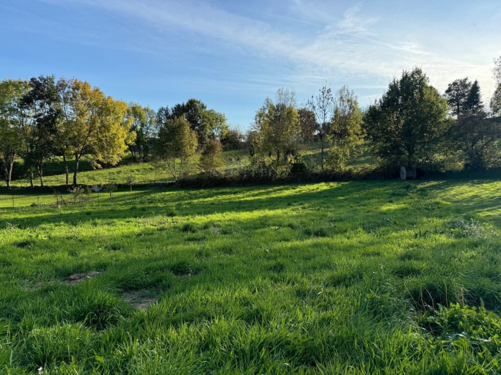 image 1776204182.jpeg