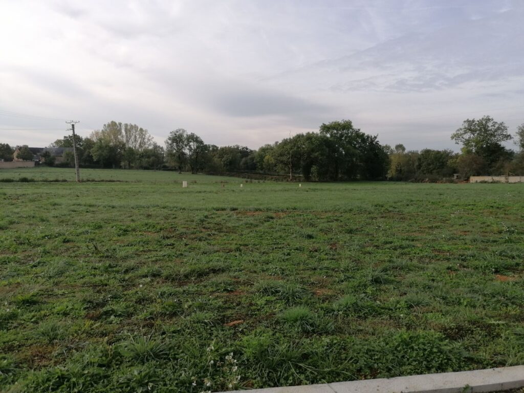 image 1776204211.jpeg