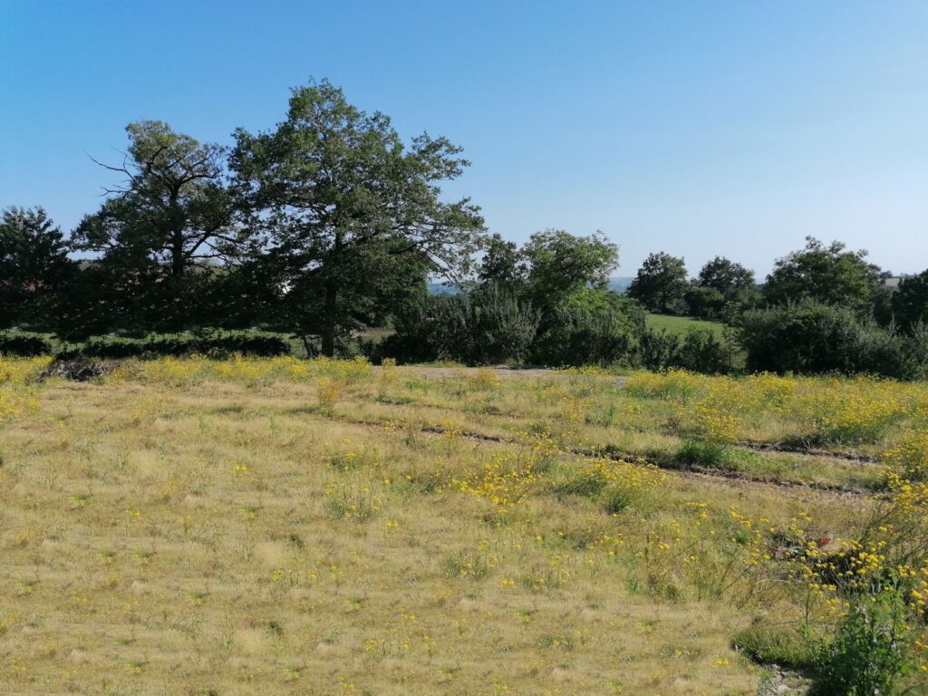 image 1776204417.jpeg