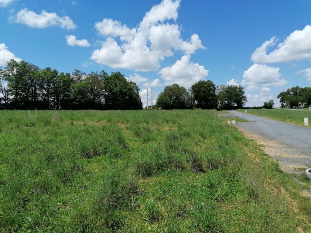 image 1776204489.jpeg