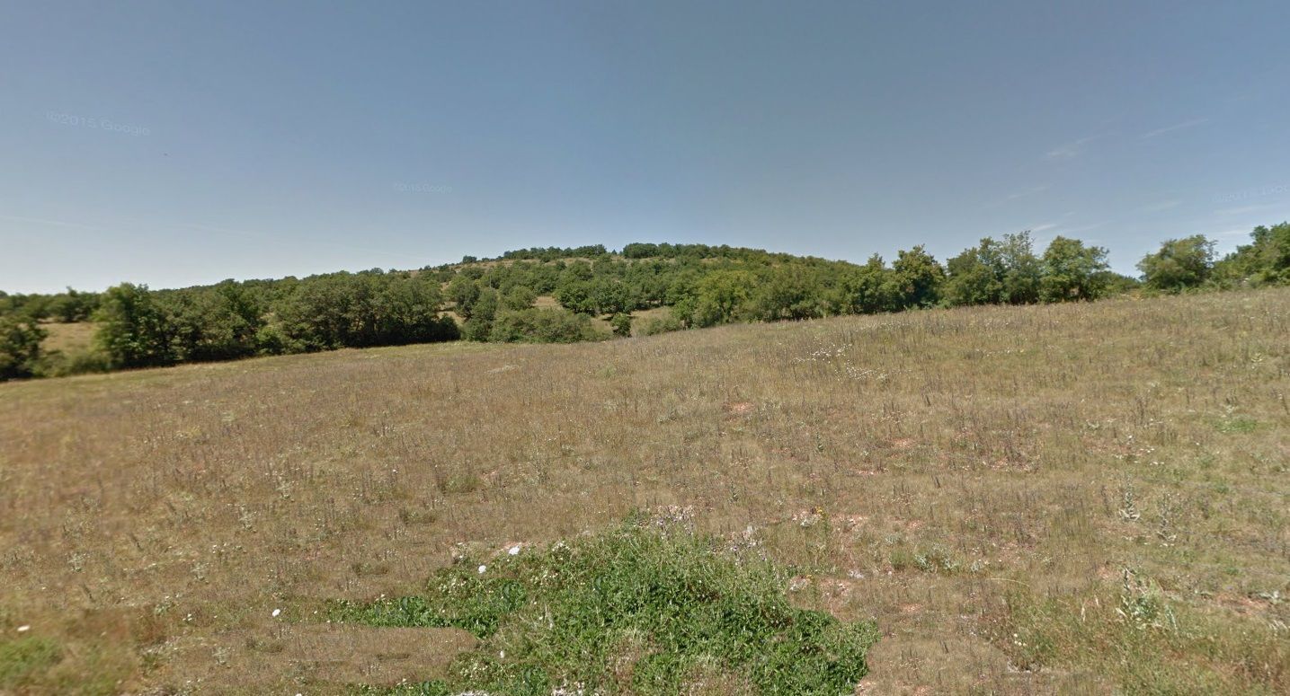 image 1778628945.jpeg
