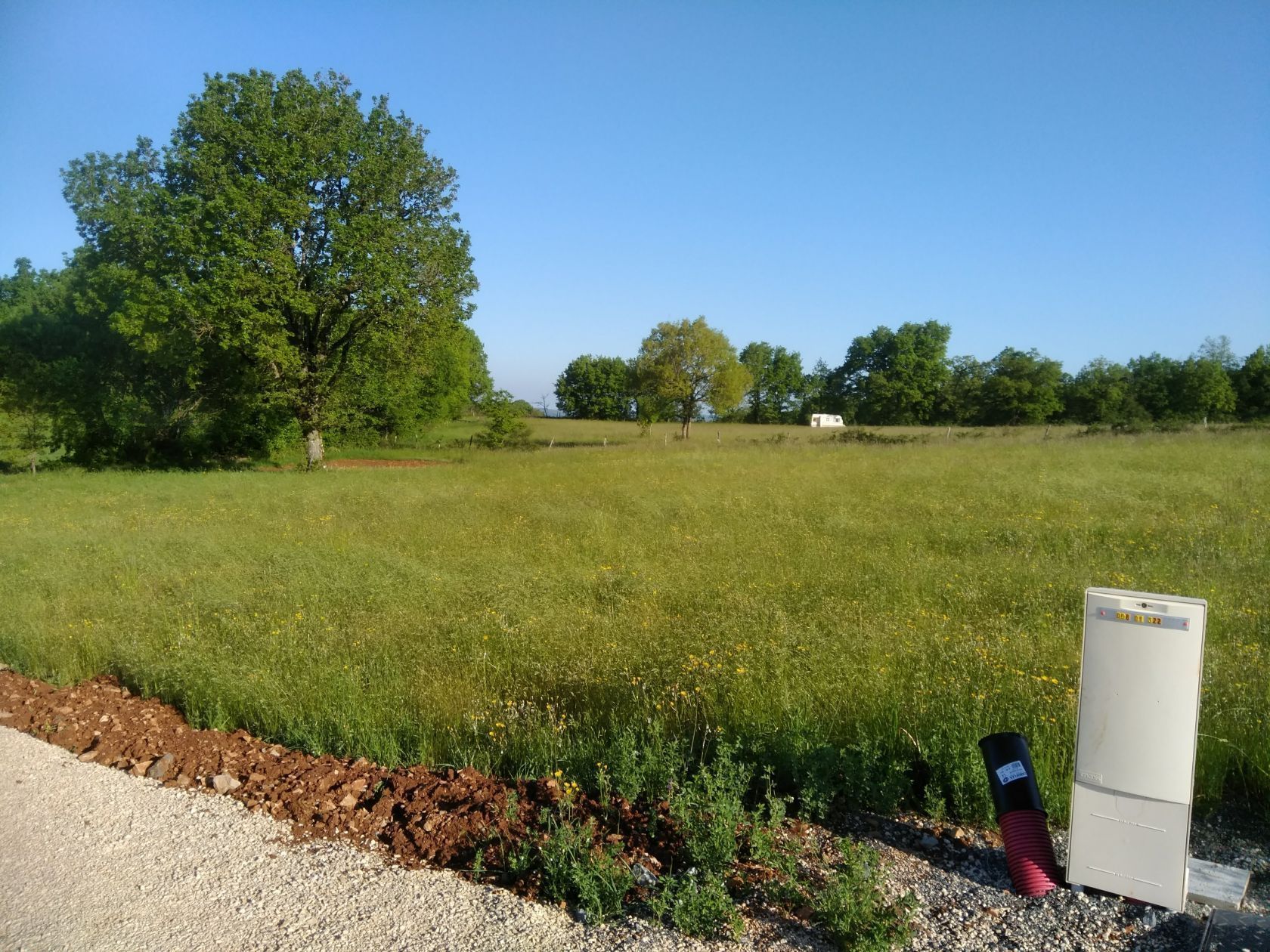 image 1784676398.jpeg