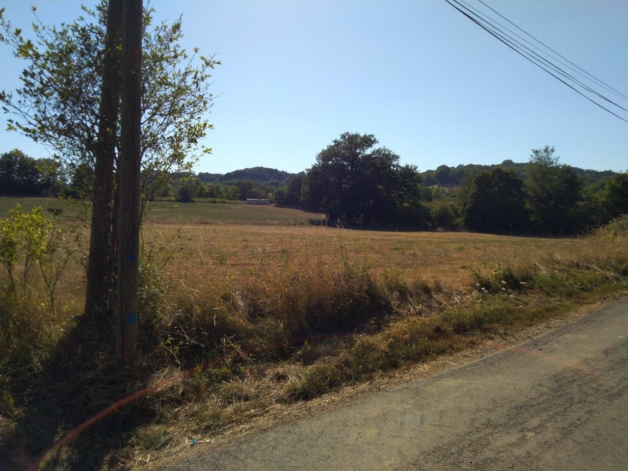 image 1787090721.jpeg