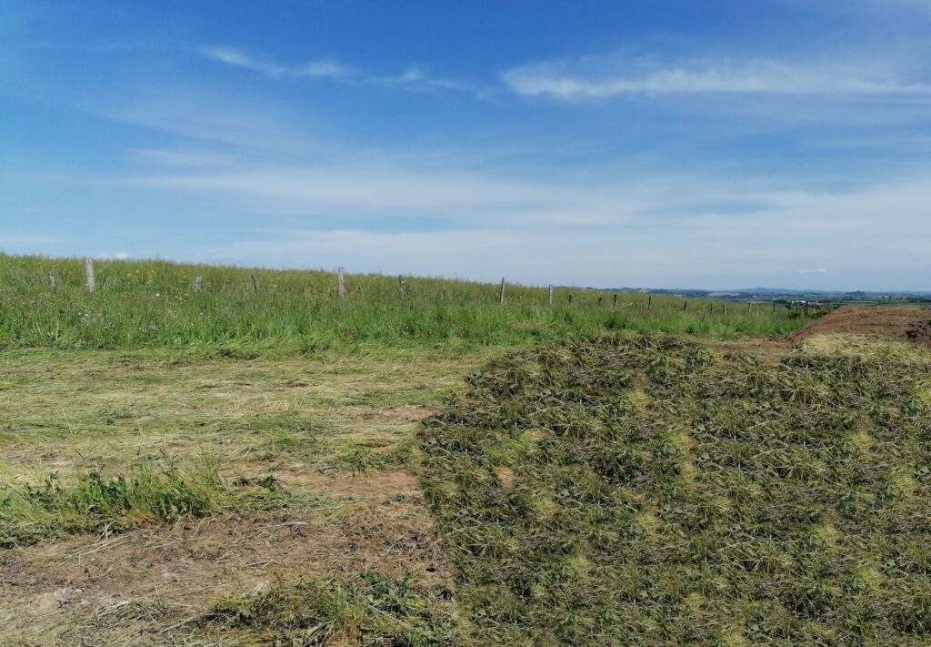 image 1787090860.jpeg