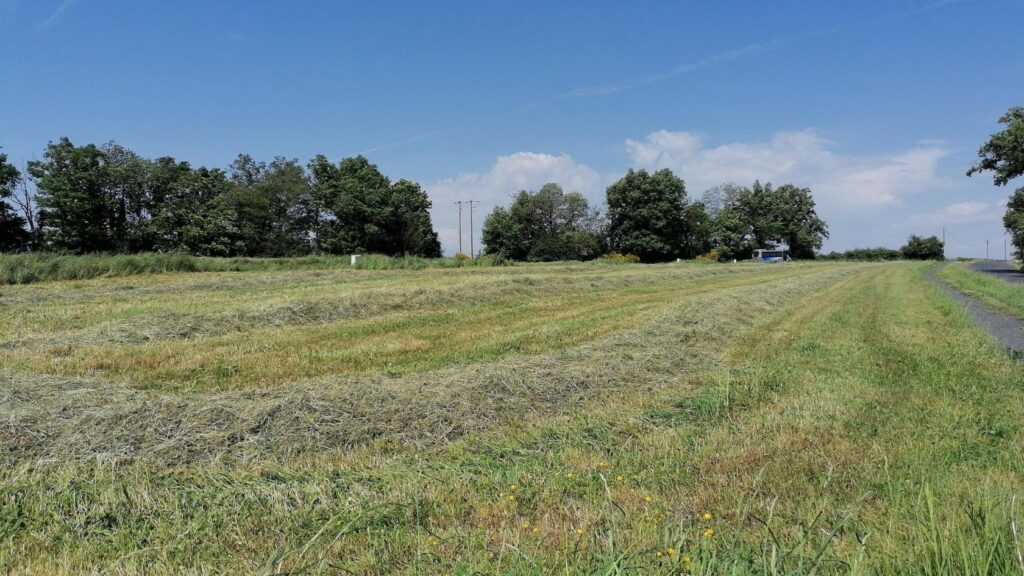 image 1787090967.jpeg